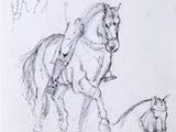 Paarden schetsen